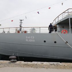 Privez Galeba na Molo longu