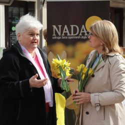 Dan narcisa na Korzu