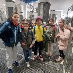 Učenici OŠ Škurinje posjetili Zvir