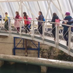 Učenici OŠ Škurinje posjetili Zvir