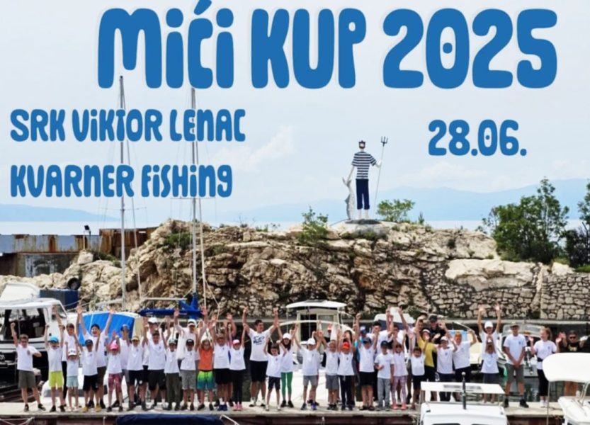 Mići kup