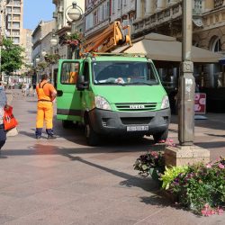 cvjetne košare