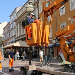 cvjetne košare
