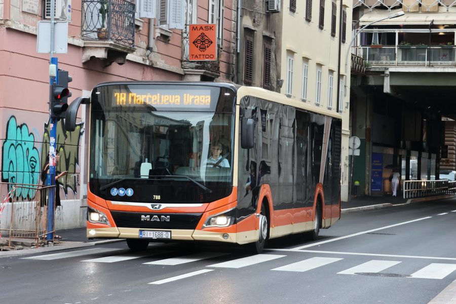 Autobus Autotroleja