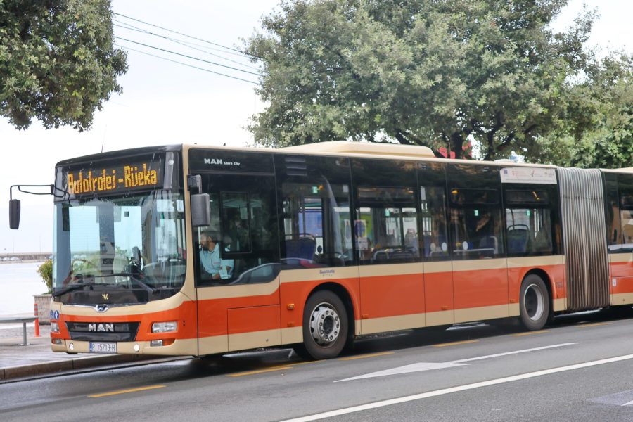 Autobus Autotroleja