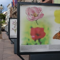 Izložba Paralelni svjetovi Prirodoslovnog muzeja Rijeka