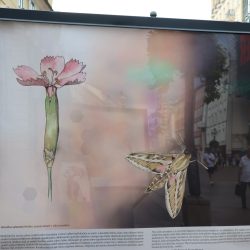 Izložba Paralelni svjetovi Prirodoslovnog muzeja Rijeka