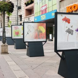 Izložba Paralelni svjetovi Prirodoslovnog muzeja Rijeka