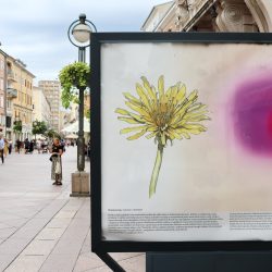 Izložba Paralelni svjetovi Prirodoslovnog muzeja Rijeka