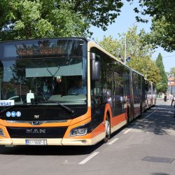 Proslava Velike Gospe na Trsatu
