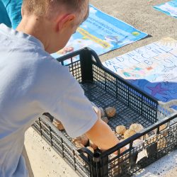 Akcija čišćenja plaže Ploče