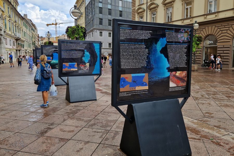 Izložba Sakrivena priroda