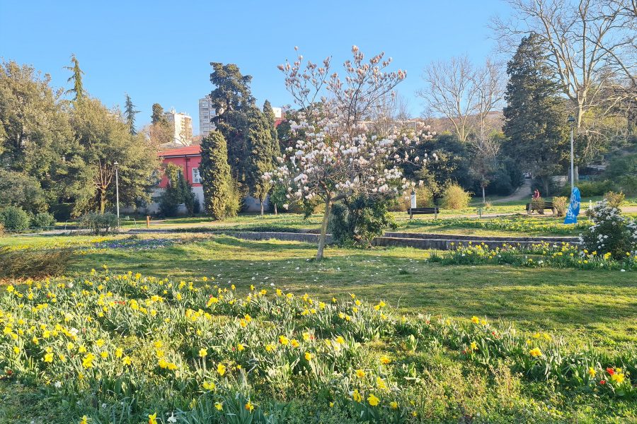 Park Mlaka