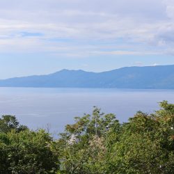 Svečana sjednica Pravnog fakulteta u Rijeci