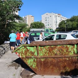 Zelena čistka 2025