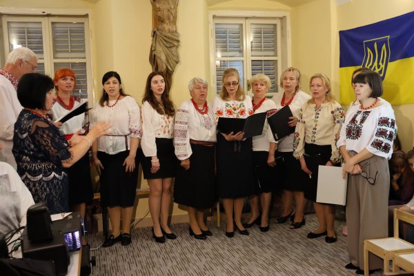 Dvije godine Razvojno integracijskog centra sv Vid