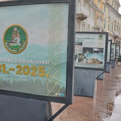 Obljetnica 128 i 138 brigade