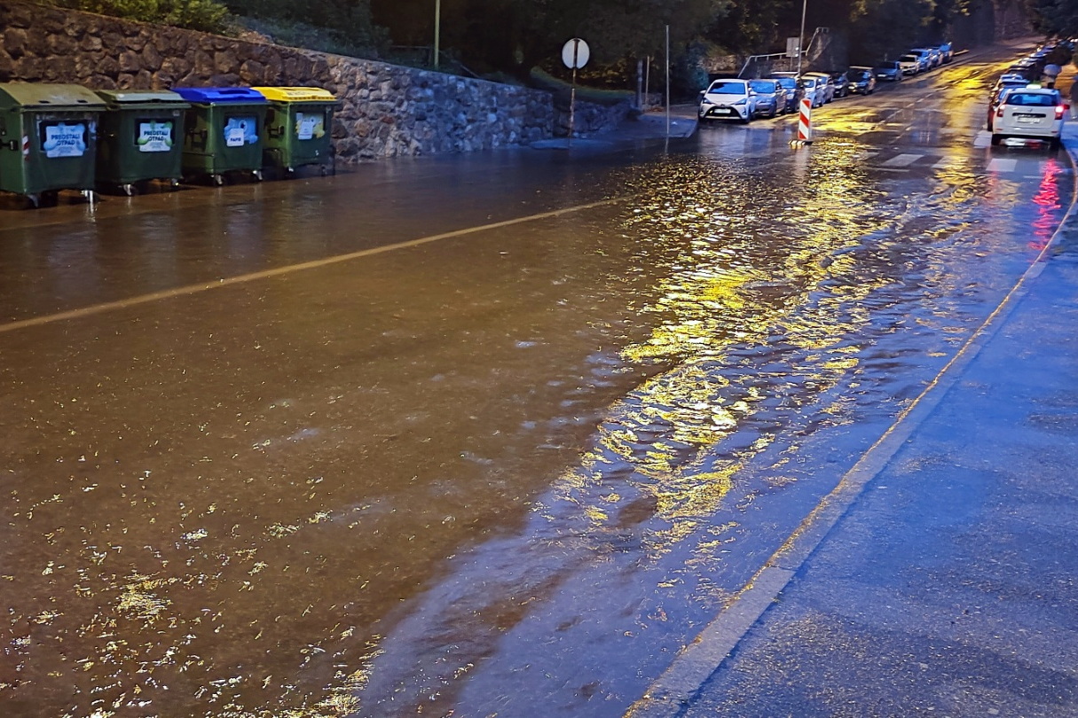Na savjetovanju Odluka o donošenju Plana djelovanja Grada Rijeke u ...
