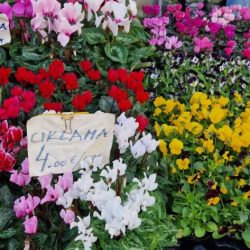 Prigodna prodaja u povodu blagdana Svih Svetih