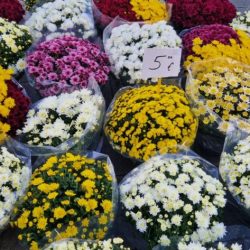 Prigodna prodaja u povodu blagdana Svih Svetih