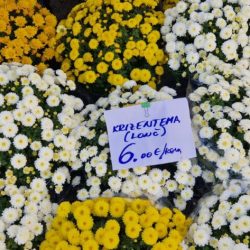 Prigodna prodaja u povodu blagdana Svih Svetih