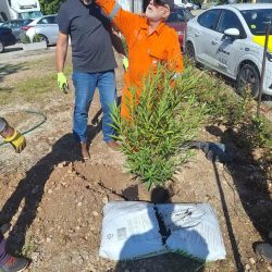 Riječki projekt lokalnog partnerstva - Zametski štacion