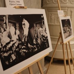 Izložba o Carlosu Arayi