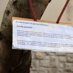 Znanstveni park Zamet