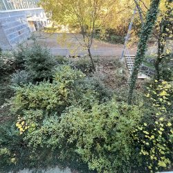 Znanstveni park Zamet pripremni radovi