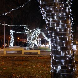 Kvartovi svjetla Drenova