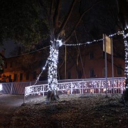 Kvartovi svjetla Krnjevo