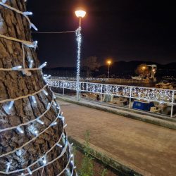 Kvartovi svjetla Lučica Kantrida