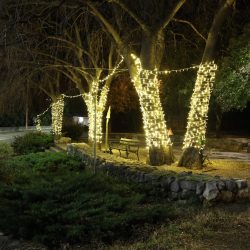 Kvartovi svjetla Podvežica