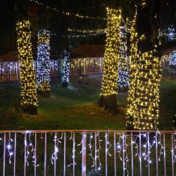 Kvartovi svjetla Škurinje