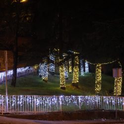 Kvartovi svjetla Škurinje