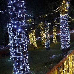 Kvartovi svjetla Škurinje