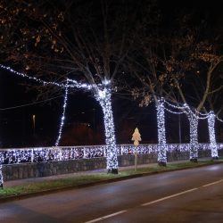 Kvartovi svjetla Srdoči