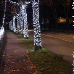 Kvartovi svjetla Srdoči