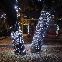 Kvartovi svjetla Zamet