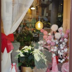 Najljepsi izlog cvjecarnice Cicak