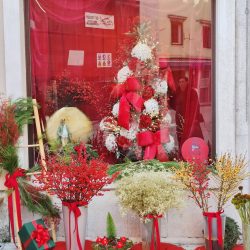 Najljepsi izlog cvjecarnice Cicak