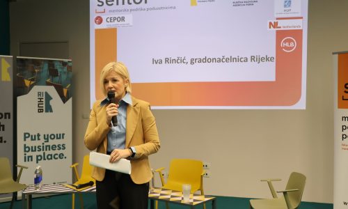 Poduzetnici i mentori