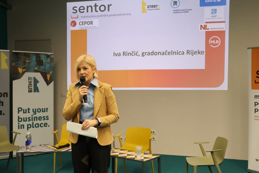 Poduzetnici i mentori