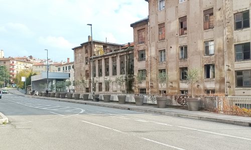 Vaze sa stablima maslina na nogostupu uz garažu Zagrad (1)