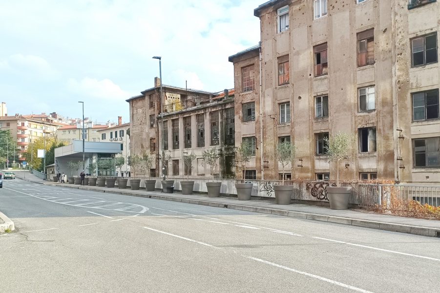 Vaze sa stablima maslina na nogostupu uz garažu Zagrad (1)