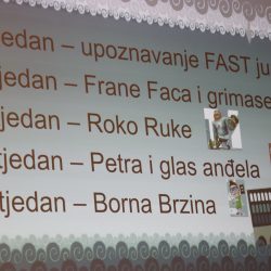 Postignuća Rijeke u liječenju akutnog moždanog udara
