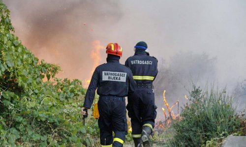 Vatrogasci na pozaristu