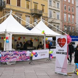 Humanitarna 19. Maškarana jota