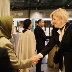 Karnevalski prijem za veleposlanike