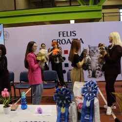 Međunarodna izložba mačaka u Rijeci